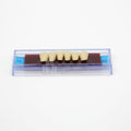 Tablilla de Dientes Ecodent Anteriores Inferiores 16 66