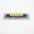 Tablilla de Dientes Ecodent Anteriores Inferiores 17 66