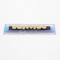Tablilla de Dientes Ecodent Posteriores Superior 32 62