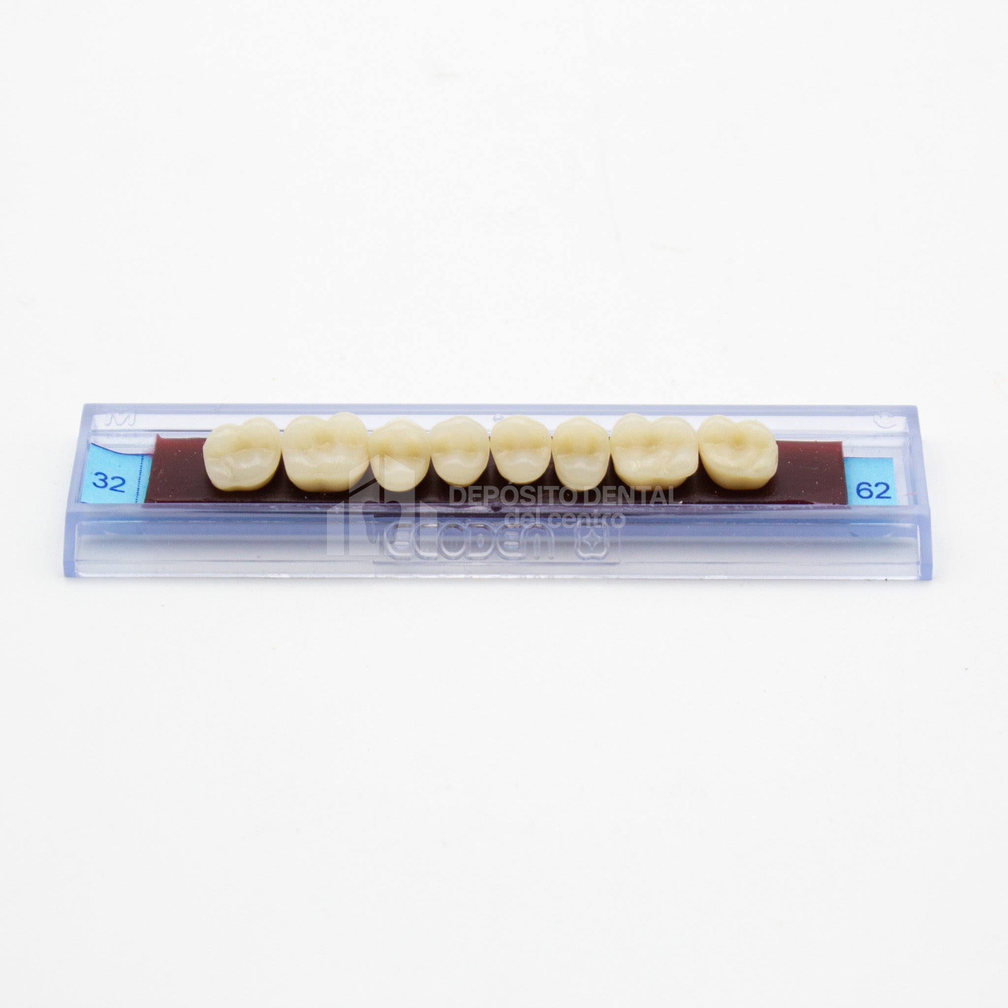 Tablilla de Dientes Ecodent Posteriores Superior 32 62