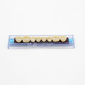Tablilla de Dientes Ecodent Posteriores Superior 36 62