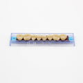 Tablilla de Dientes Ecodent Posteriores Superiores 36 65