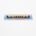 Tablilla de Dientes Ecodent Anteriores Inferiores 32 65