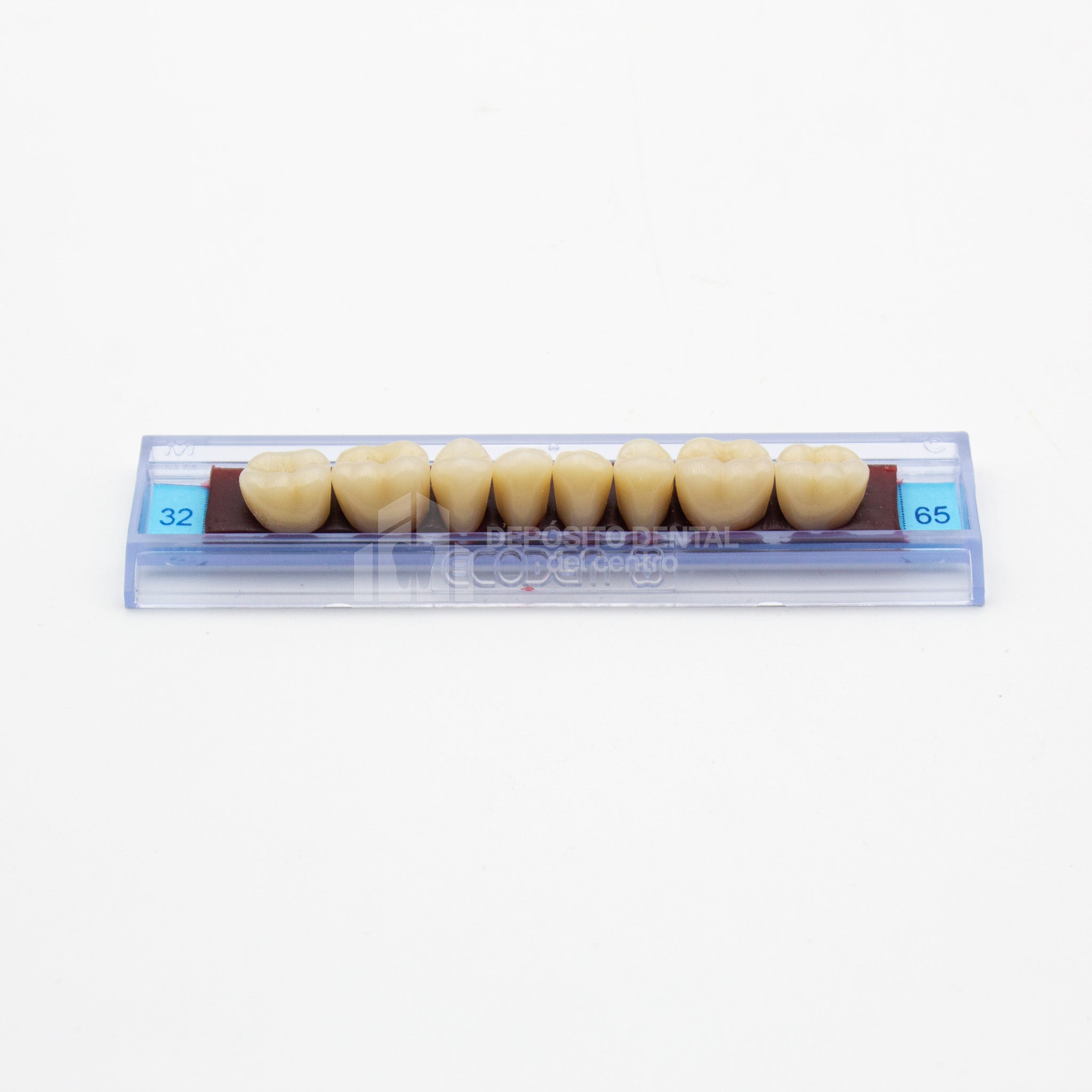 Tablilla de Dientes Ecodent Anteriores Inferiores 32 65