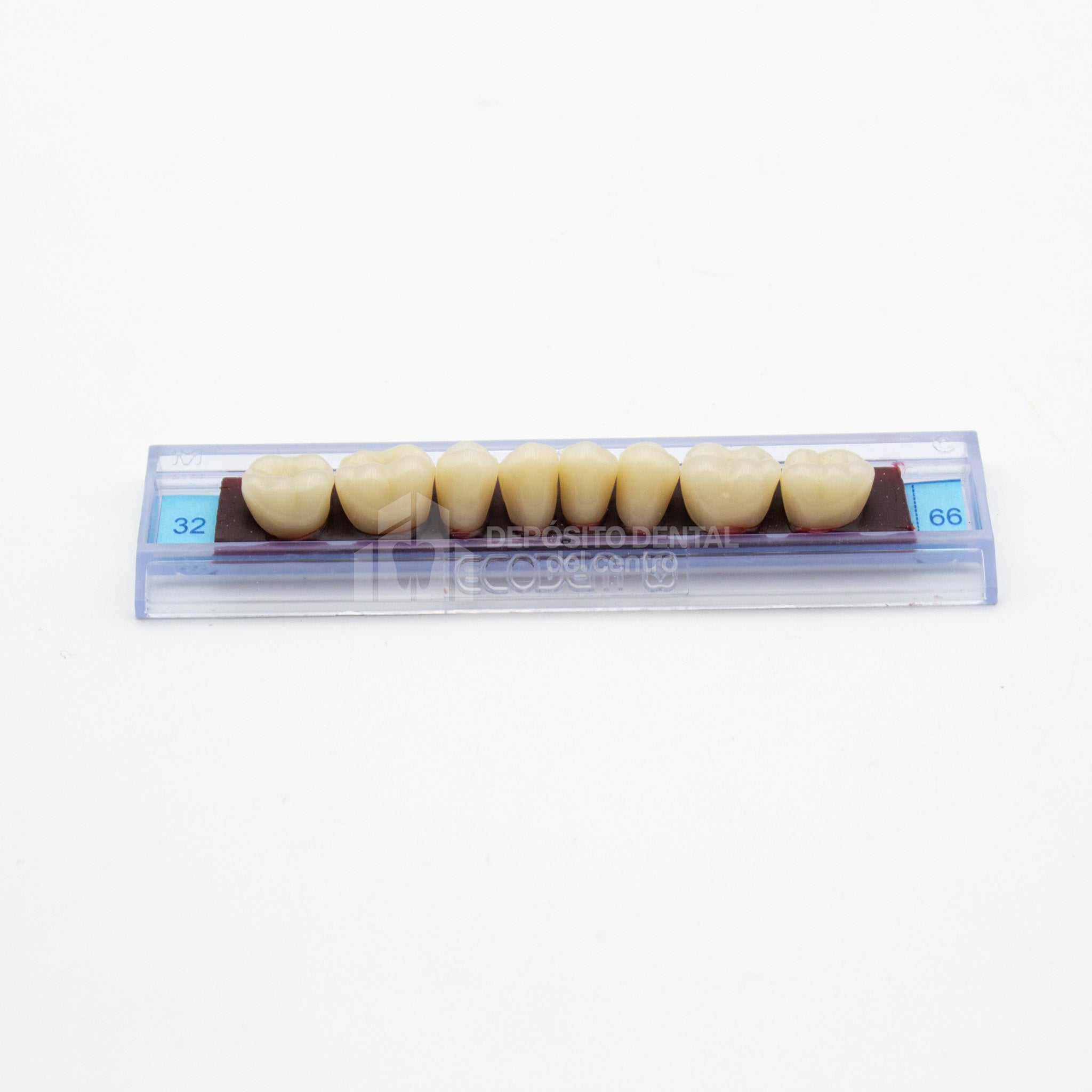 Tablilla de Dientes Ecodent Posteriores Inferiores 32 66