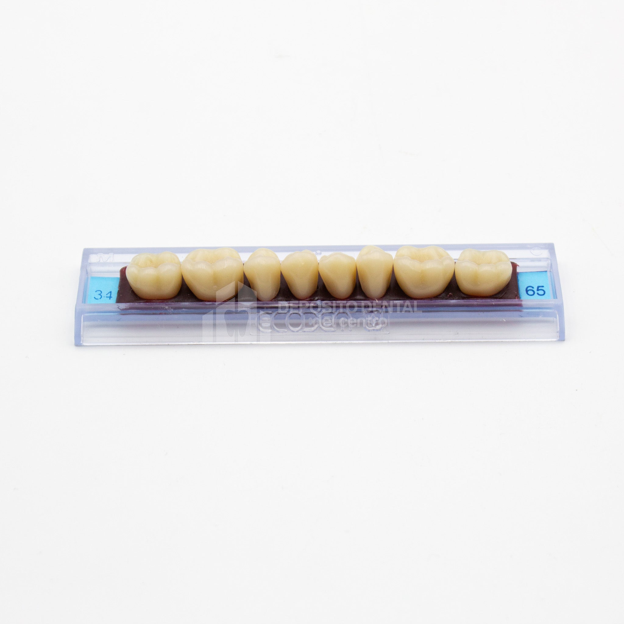 Tablilla de Dientes Ecodent Posteriores Inferiores 34 65