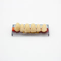 Tablilla de Dientes Acry Rock Anteriores Superiores A3 68