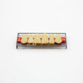 Tablilla de Dientes Acry Rock Anteriores Superiores A3.5 66