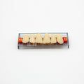 Tablilla de Dientes Acry Rock Anteriores Superiores A3 66