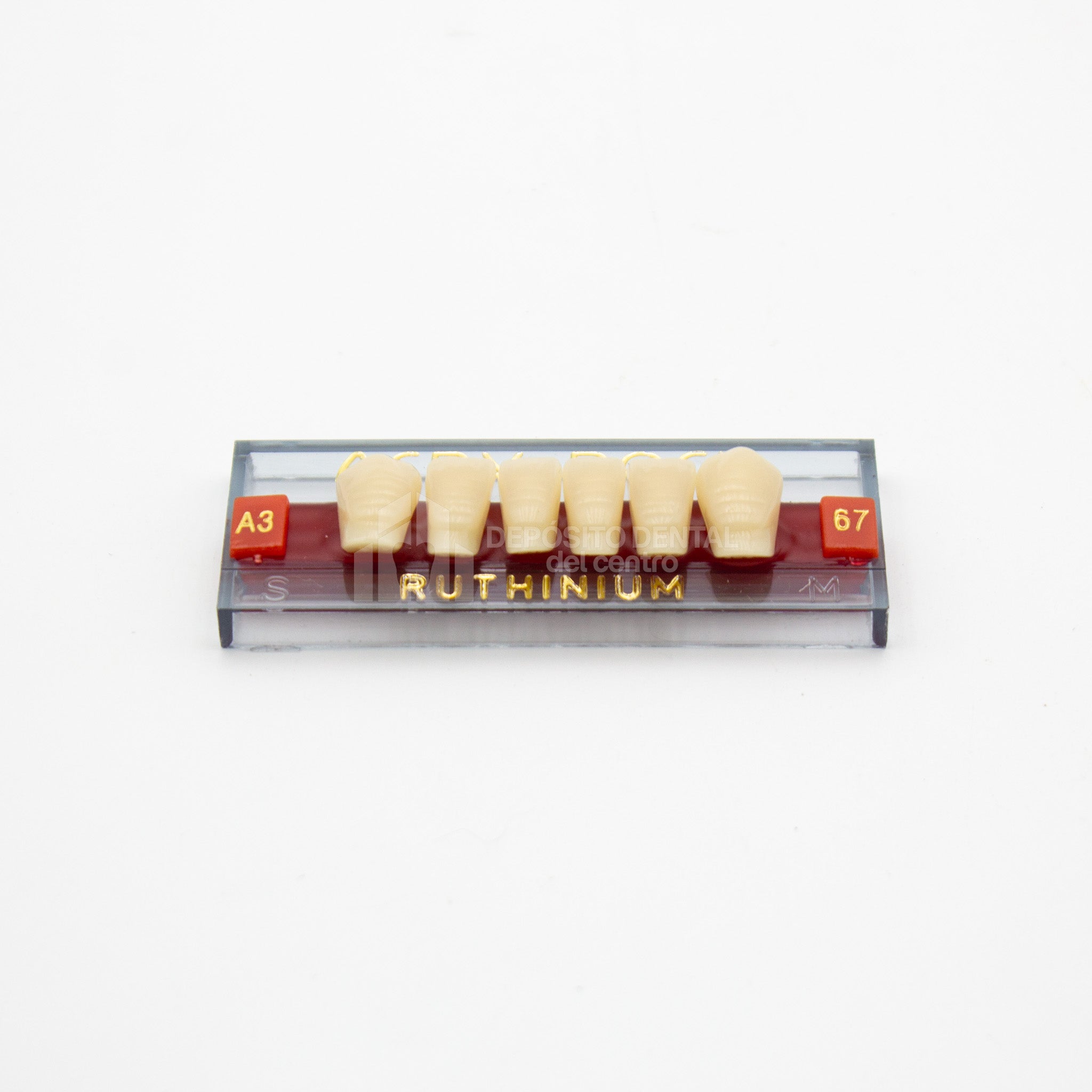 Tablilla de Dientes Acry Rock Anteriores Inferiores A3 67
