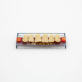 Tablilla de Dientes Acry Rock Anteriores Superiores A3.5 55