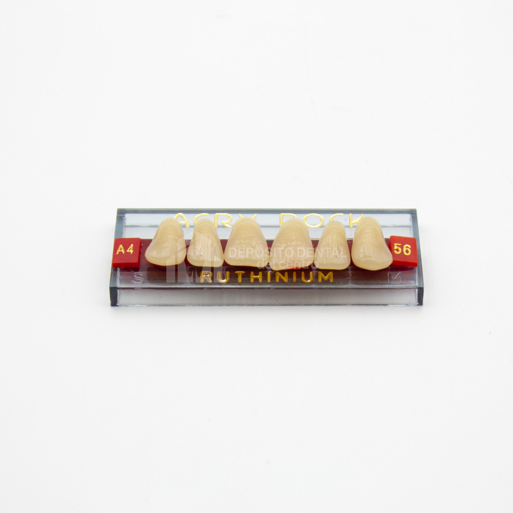 Tablilla de Dientes Acry Rock Anteriores Superiores A4 56