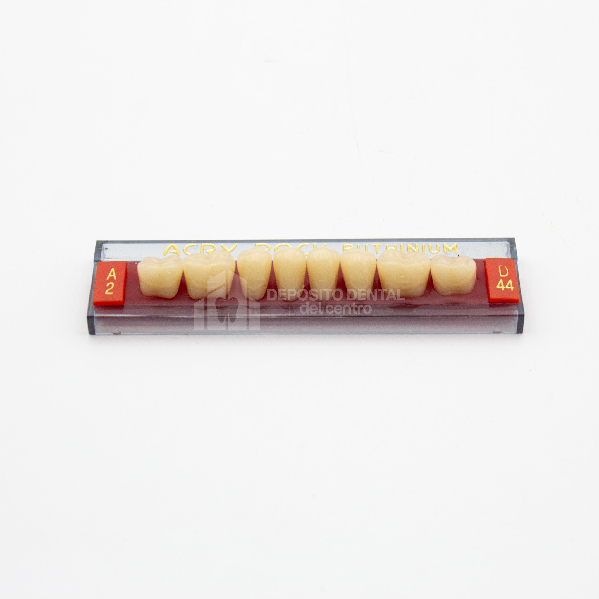 Tablilla de Dientes Acry Rock Posteriores Inferiores A2 D44