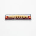 Tablilla de Dientes Acry Rock Posteriores Inferiores A2 D45