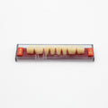 Tablilla de Dientes Acry Rock Posteriores Inferiores A2 D42