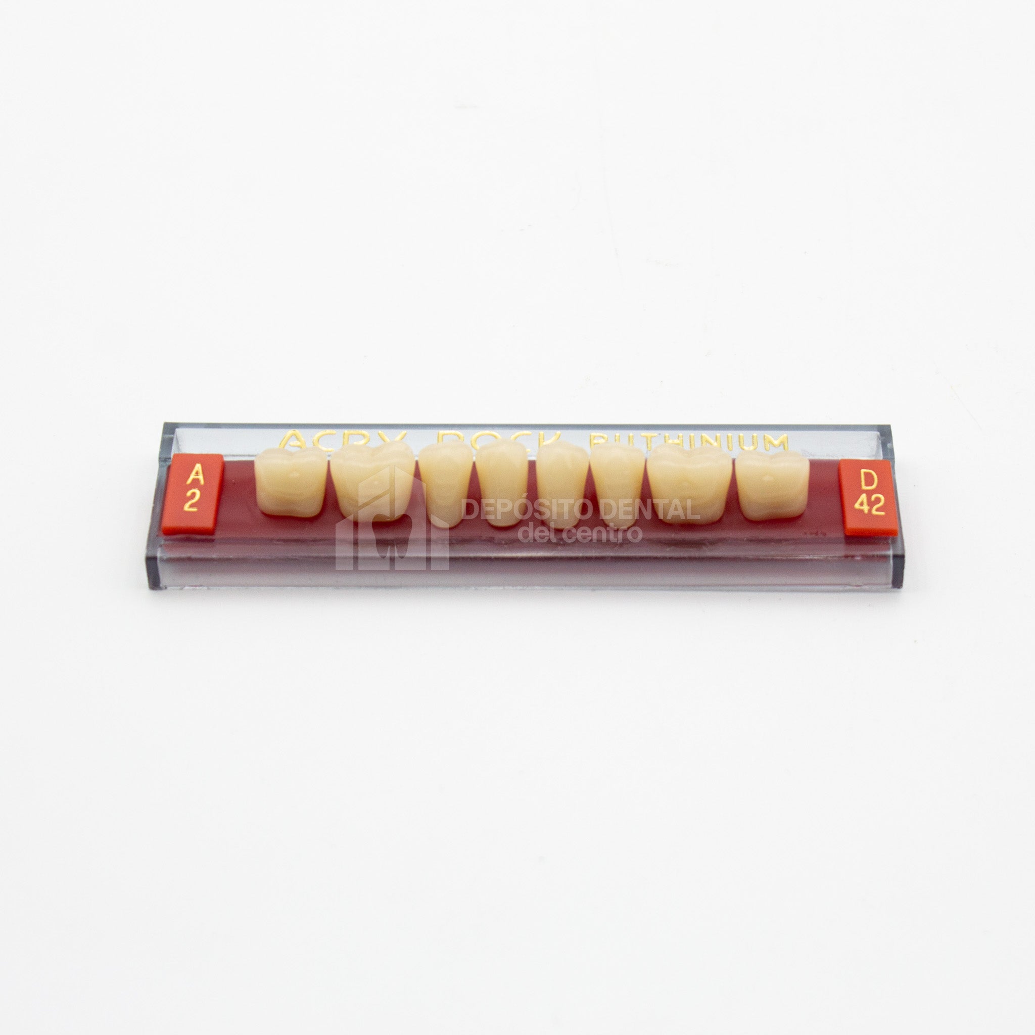 Tablilla de Dientes Acry Rock Posteriores Inferiores A2 D42