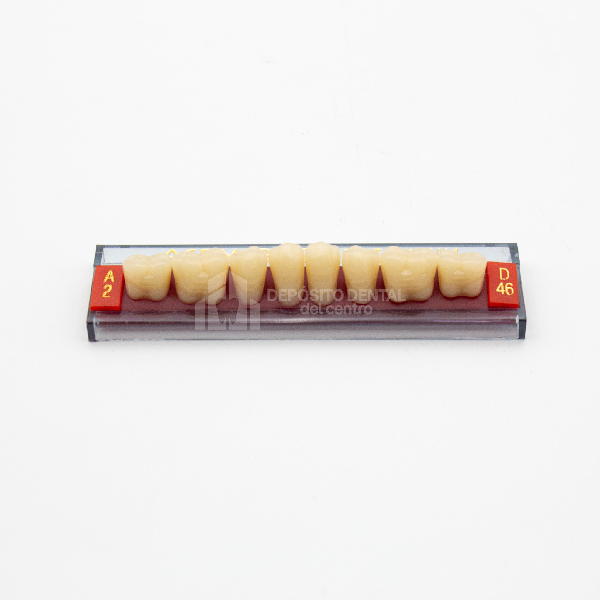 Tablilla de Dientes Acry Rock Posteriores Inferiores A2 D46