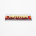 Tablilla de Dientes Acry Rock Posteriores Inferiores A3 D42