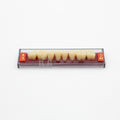Tablilla de Dientes Acry Rock Posteriores Inferiores A3 D44