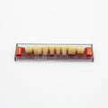 Tablilla de Dientes Acry Rock Posteriores Inferiores A3 D45