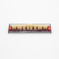 Tablilla de Dientes Acry Rock Posteriores Inferiores A3 D46