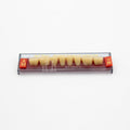 Tablilla de Dientes Acry Rock Posteriores Inferiores A3.5 D44