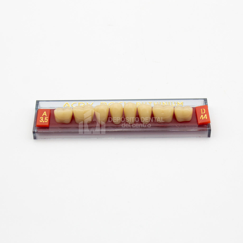 Tablilla de Dientes Acry Rock Posteriores Inferiores A3.5 D44