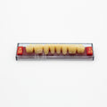 Tablilla de Dientes Acry Rock Posteriores Inferiores A3.5 D45