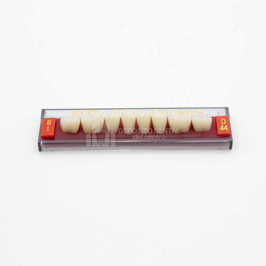 Tablilla de Dientes Acry Rock Posteriores Inferiores B1 D44