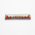 Tablilla de Dientes Acry Rock Posteriores Inferiores B1 D44