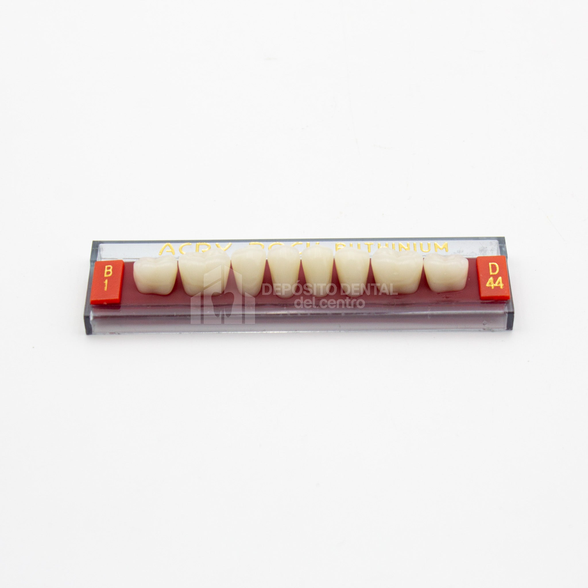 Tablilla de Dientes Acry Rock Posteriores Inferiores B1 D44
