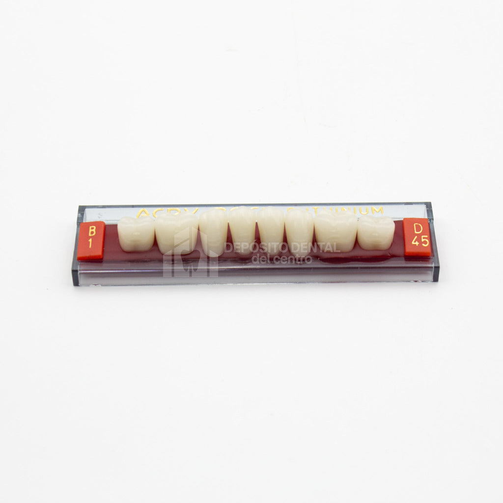 Tablilla de Dientes Acry Rock Posteriores Inferiores B1 D45