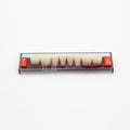 Tablilla de Dientes Acry Rock Posteriores Inferiores B1 D45
