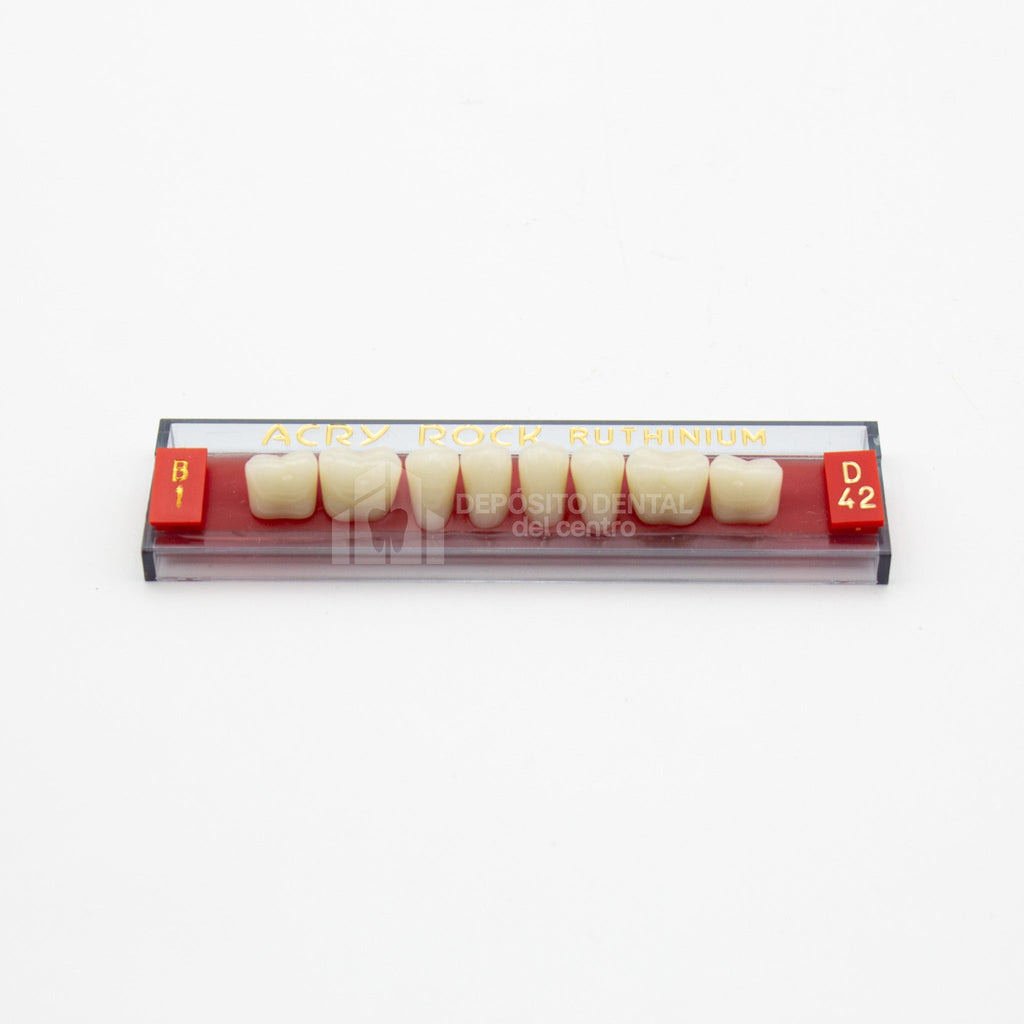 Tablilla de Dientes Acry Rock Posteriores Inferiores B1 D42