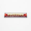 Tablilla de Dientes Acry Rock Posteriores Inferiores B1 D42