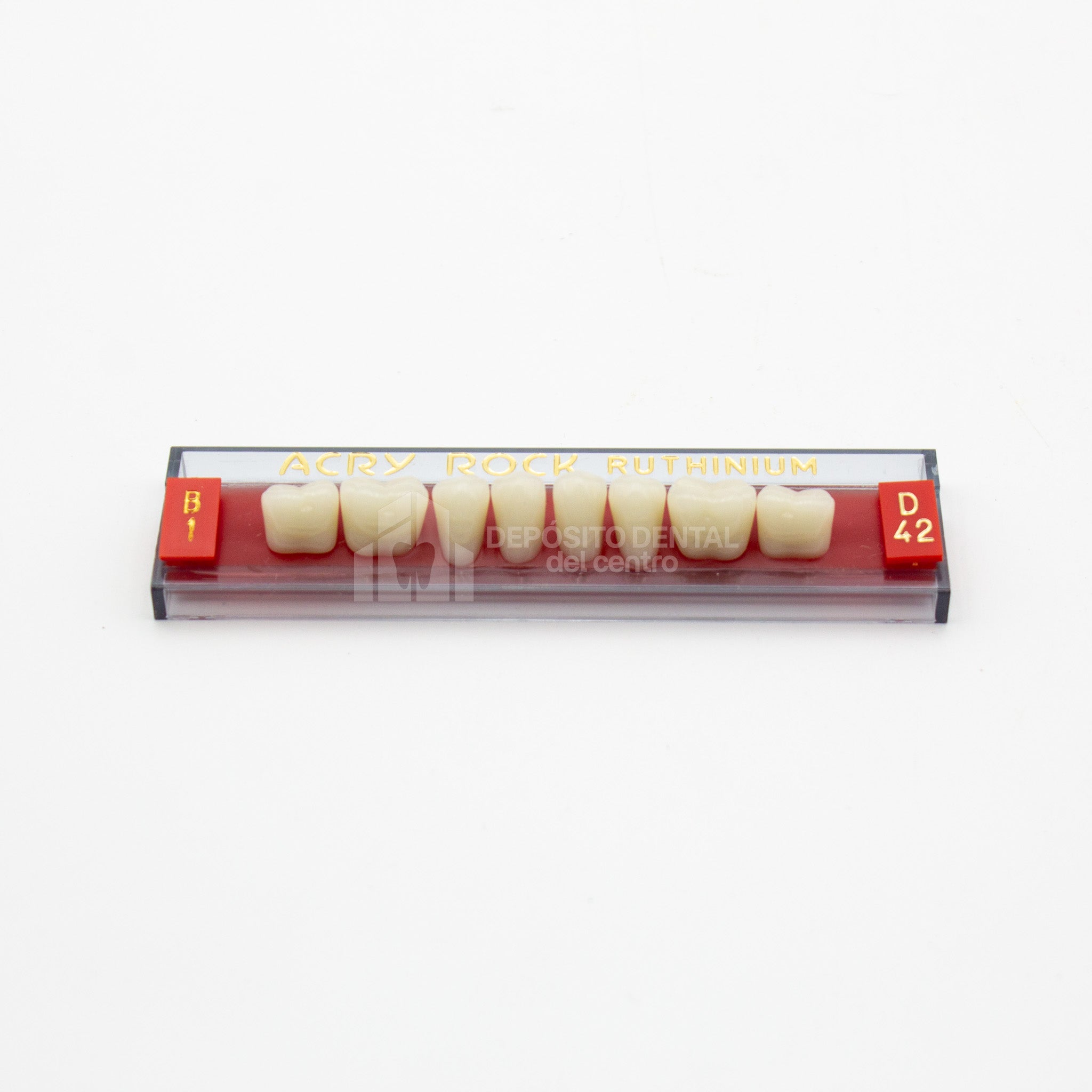 Tablilla de Dientes Acry Rock Posteriores Inferiores B1 D42