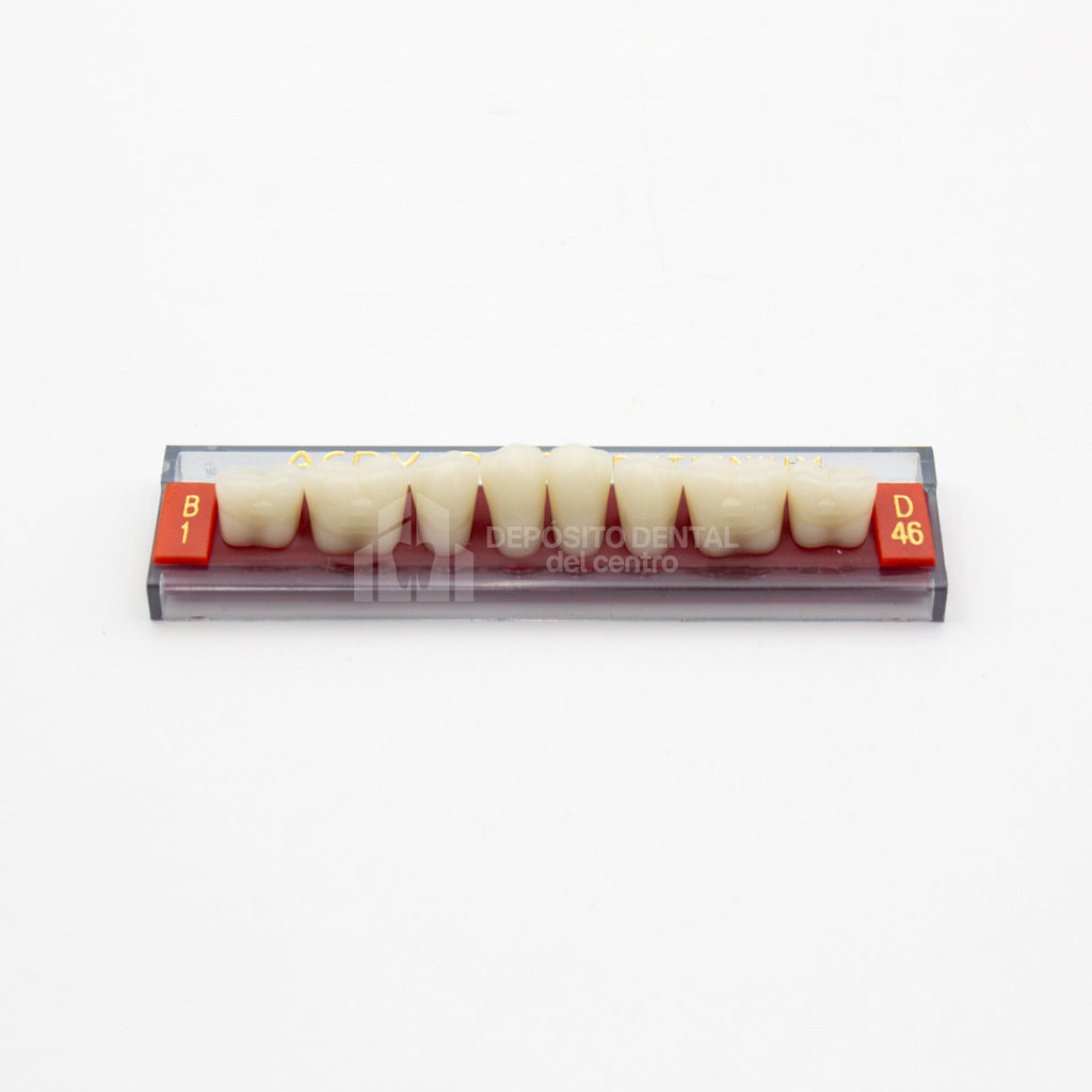 Tablilla de Dientes Acry Rock Posteriores Inferiores B1 D46