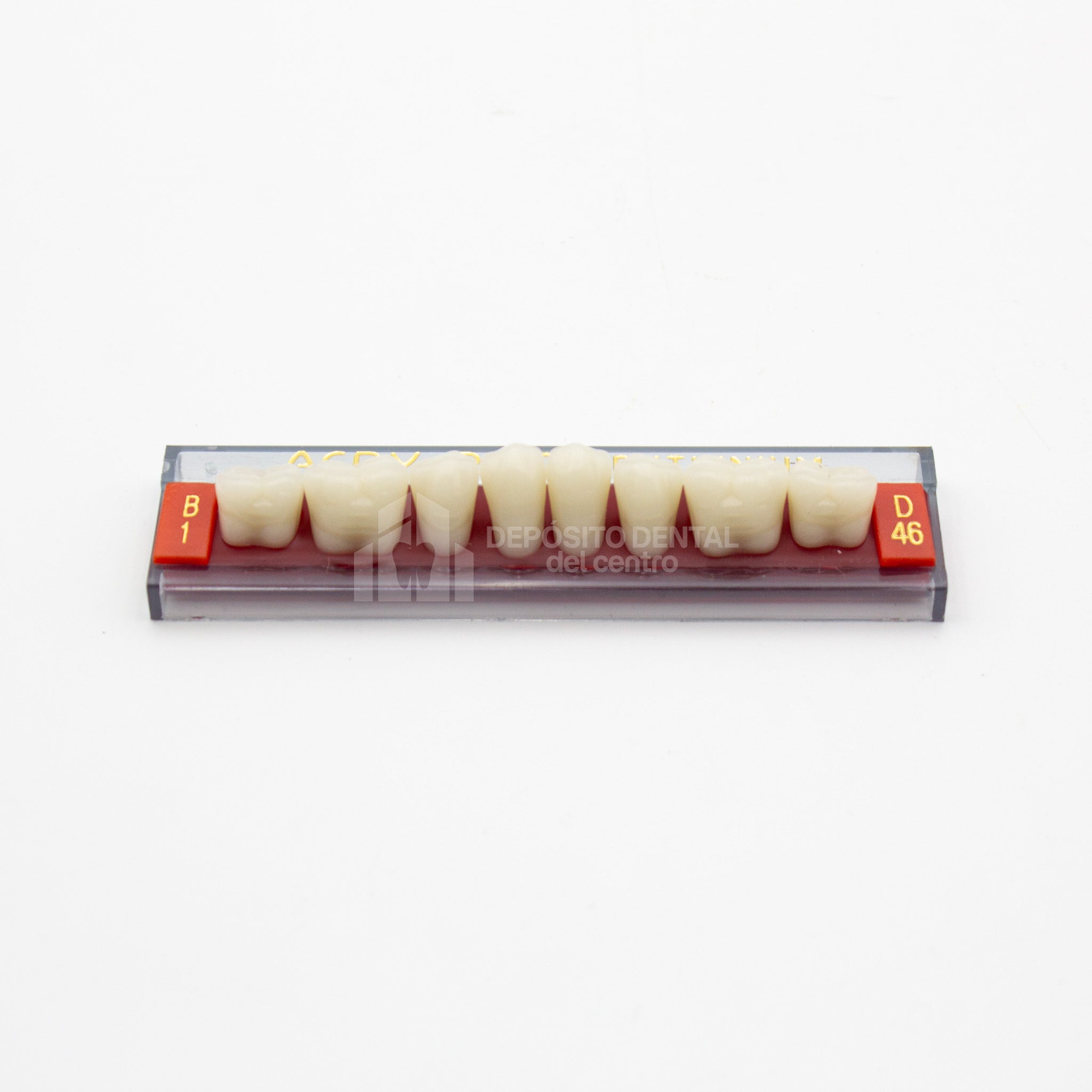 Tablilla de Dientes Acry Rock Posteriores Inferiores B1 D46