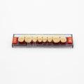 Tablilla de Dientes Acry Rock Posteriores Superiores A2 D46