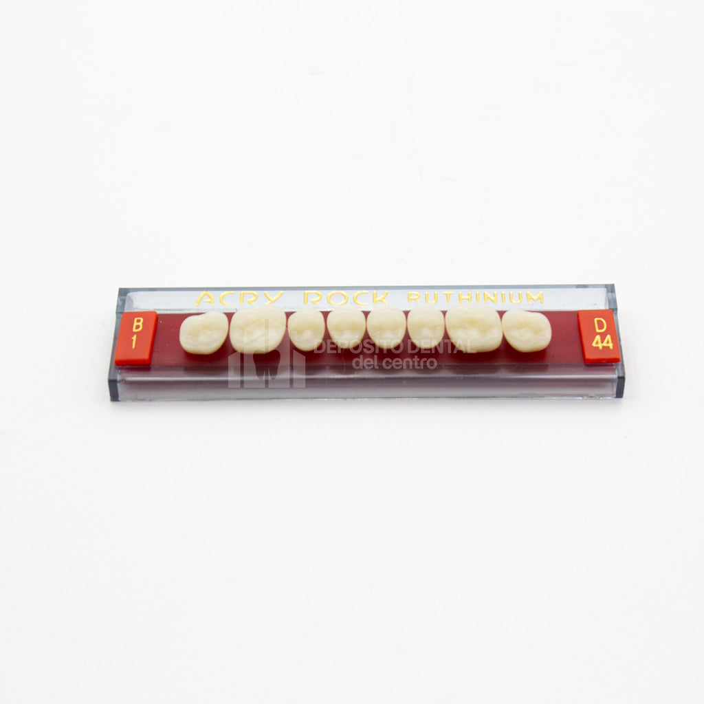 Tablilla de Dientes Acry Rock Posteriores Superiores B1 D44