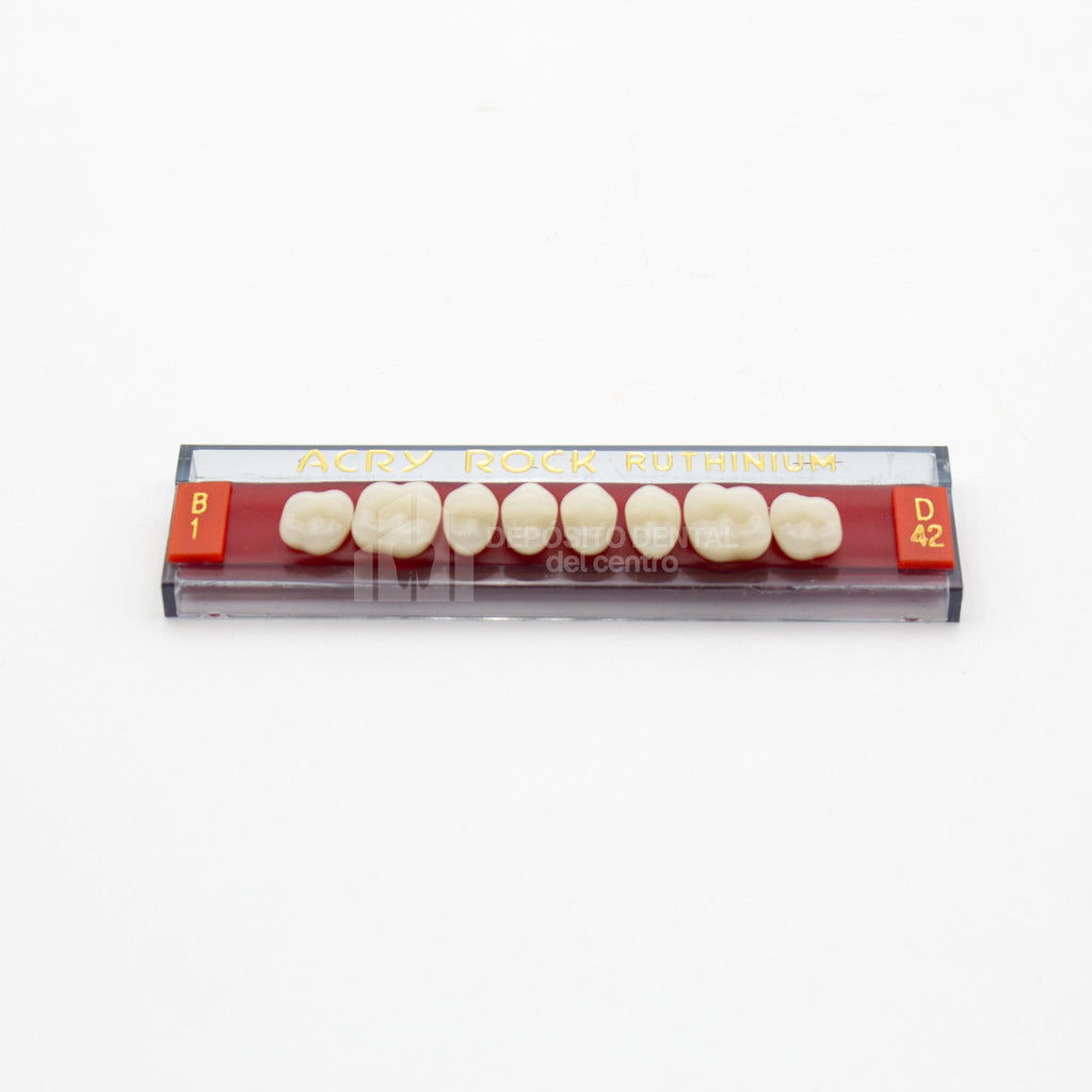 Tablilla de Dientes Acry Rock Posteriores Superiores B1 D42