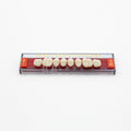 Tablilla de Dientes Acry Rock Posteriores Superiores B1 D42