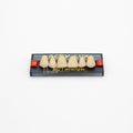 Tablilla de Dientes Acry Lux Ruthinium Anteriores Superiores 1D E3