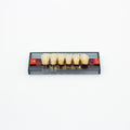 Tablilla de Dientes Acry Lux Ruthinium Anteriores Inferiores 1A K12