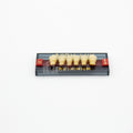 Tablilla de Dientes Acry Lux Ruthinium Anteriores Inferiores 1C K8