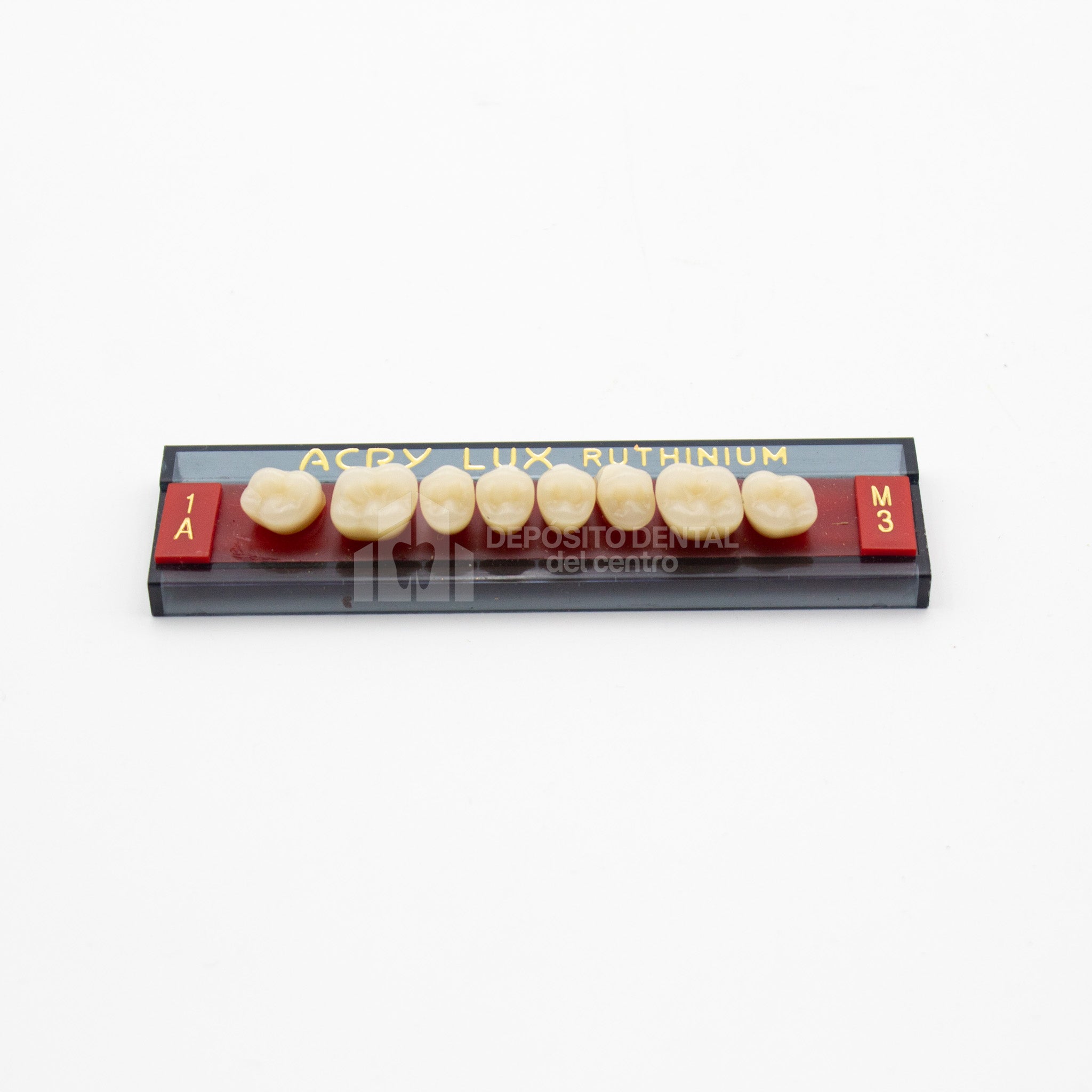 Tablilla de Dientes Acry Lux Ruthinium Posteriores Superiores 1A M3
