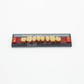 Tablilla de Dientes Acry Lux Ruthinium Posteriores Superiores 1D N1