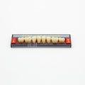 Tablilla de Dientes Acry Lux Ruthinium Posteriores Inferiores 1A M3