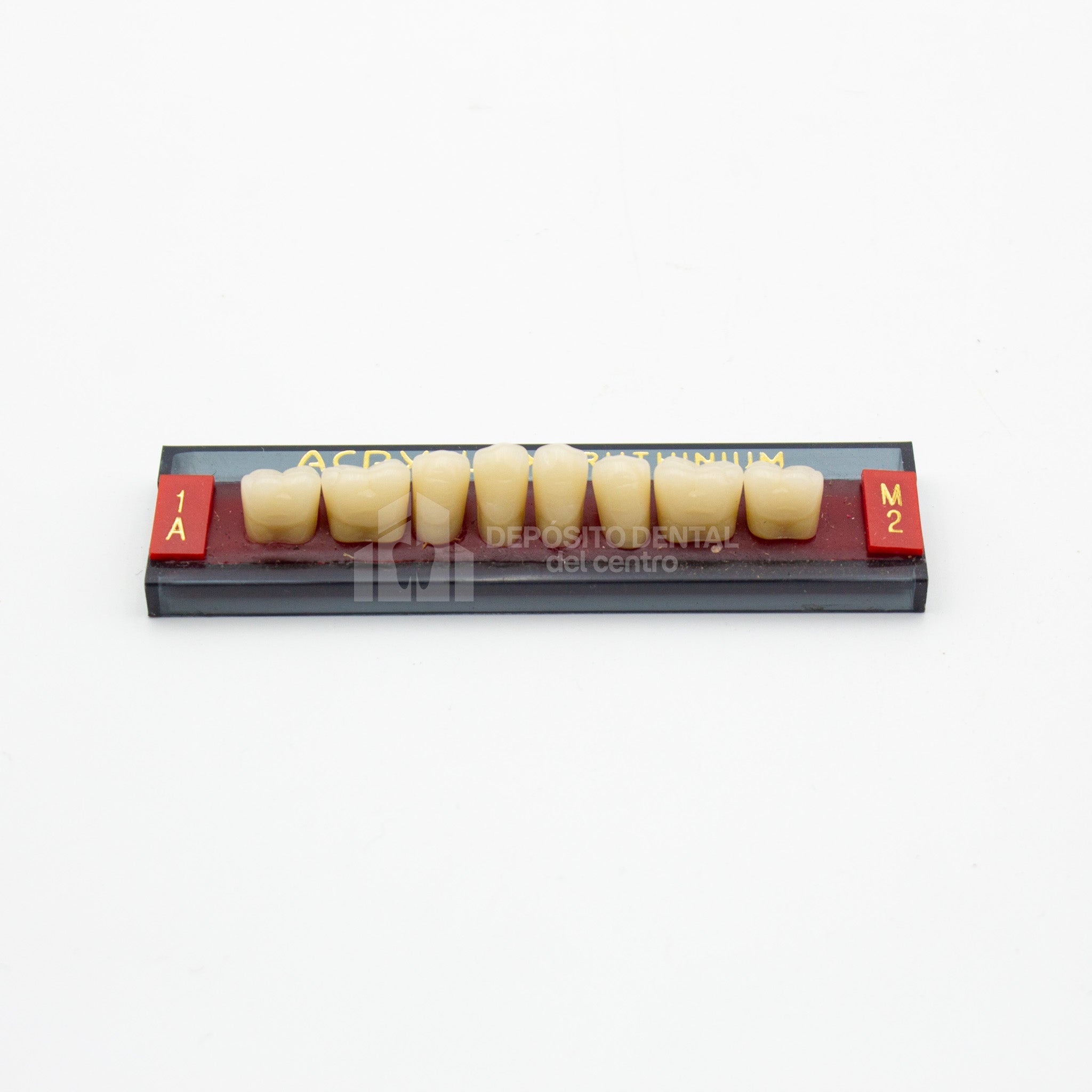 Tablilla de Dientes Acry Lux Ruthinium Posteriores Inferiores 1A M2