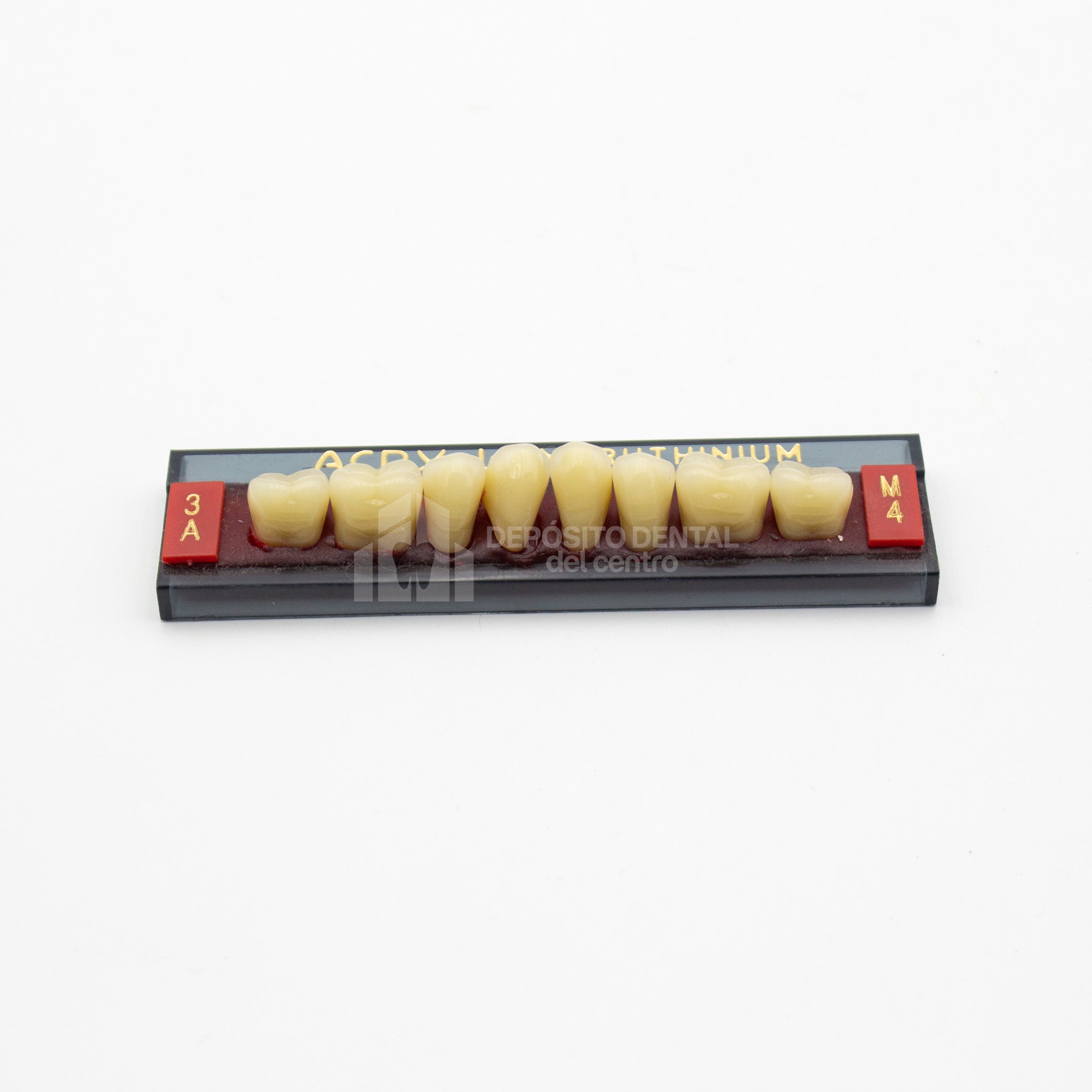 Tablilla de Dientes Acry Lux Ruthinium Posteriores Inferiores 3A M4